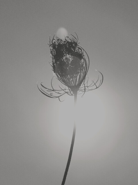 outdoor - © Maud Rémy-Lonvis