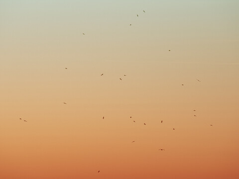 outdoor - © Maud Rémy-Lonvis