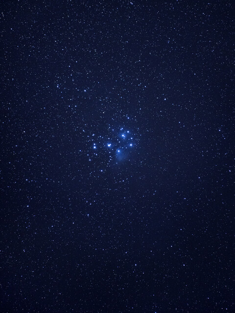 stars - © Maud Rémy-Lonvis