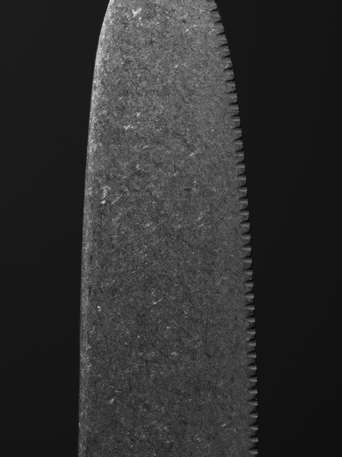 cut - © Maud Rémy-Lonvis