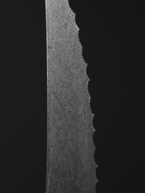 cut - © Maud Rémy-Lonvis