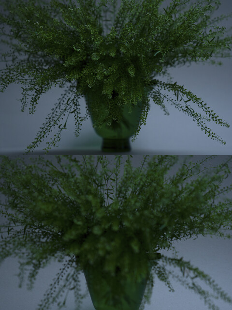 . - © Maud Rémy-Lonvis