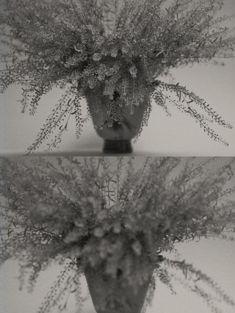 . - © Maud Rémy-Lonvis