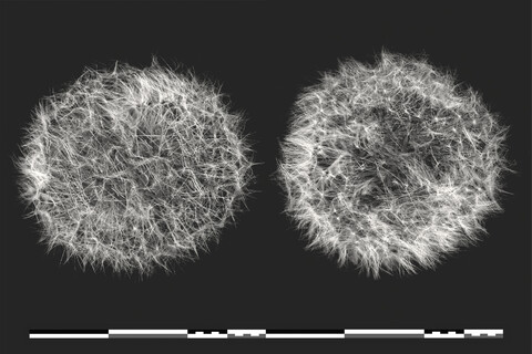 with ad: bureau kayser & floral designer: studio végété - © Maud Rémy-Lonvis