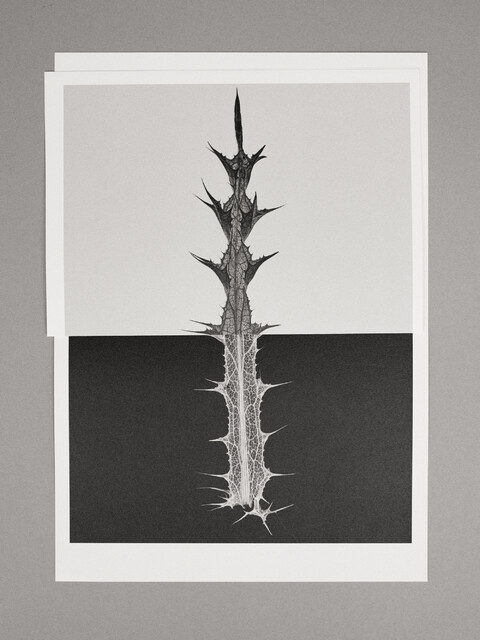 with ad: bureau kayser & floral designer: studio végété - © Maud Rémy-Lonvis