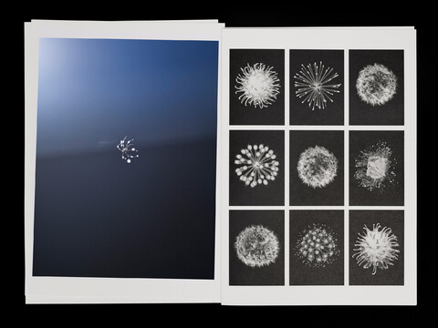 with ad: bureau kayser & floral designer: studio végété - © Maud Rémy-Lonvis