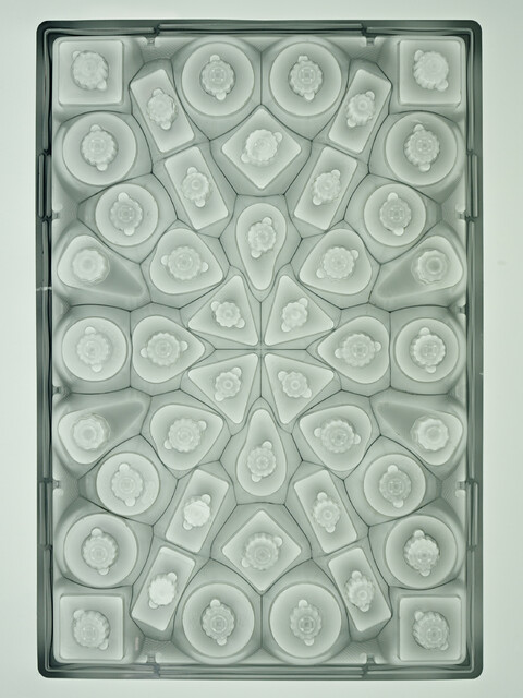 with camille lichtenstern - © Maud Rémy-Lonvis