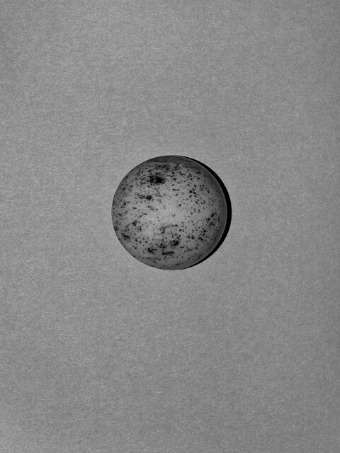 . - © Maud Rémy-Lonvis