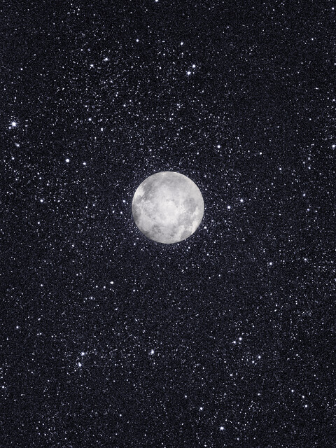 . - © Maud Rémy-Lonvis