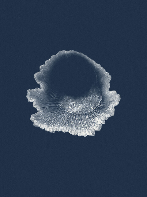 abysse - © Maud Rémy-Lonvis