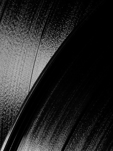 . - © Maud Rémy-Lonvis