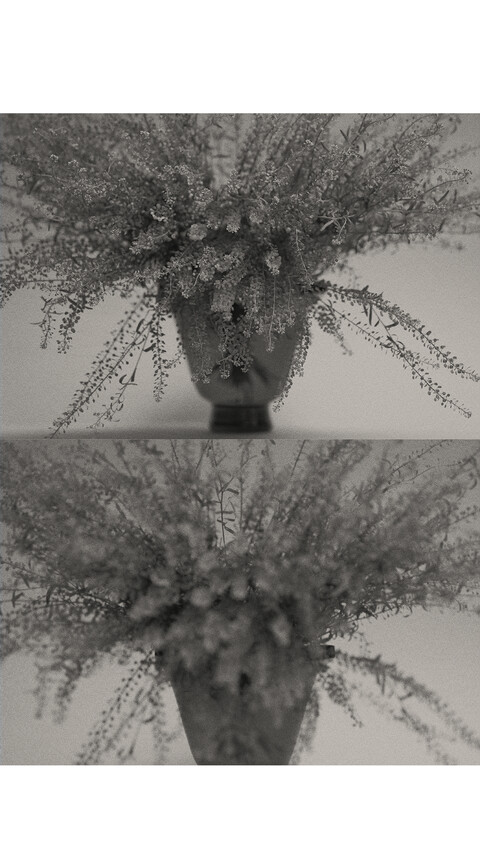 Home - © Maud Rémy-Lonvis