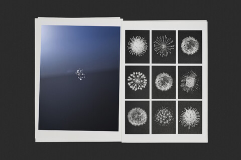 Home - © Maud Rémy-Lonvis