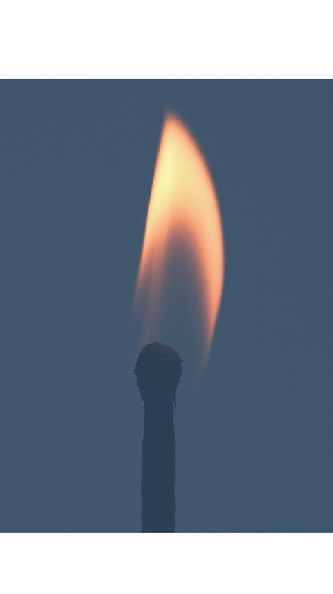 Home - © Maud Rémy-Lonvis