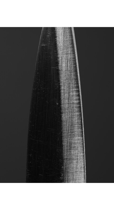 Home - © Maud Rémy-Lonvis